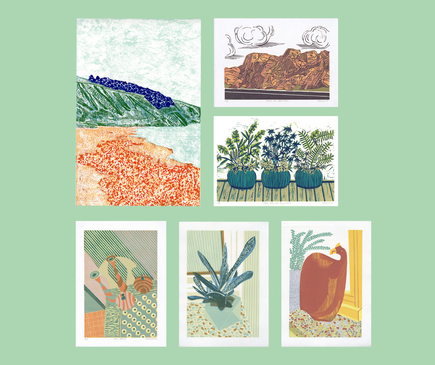 WINDOWSILL SUCCULENT