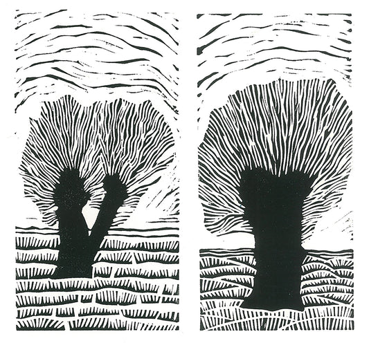 Holland Willow Print Collection