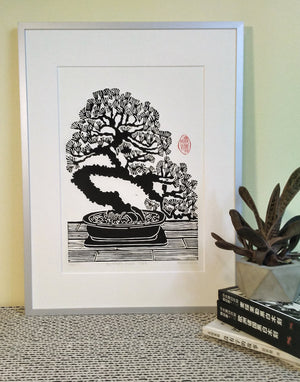 Bonsai Pine Print Framed