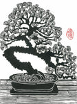 Bonsai Pine Linocut Print 9"x13"