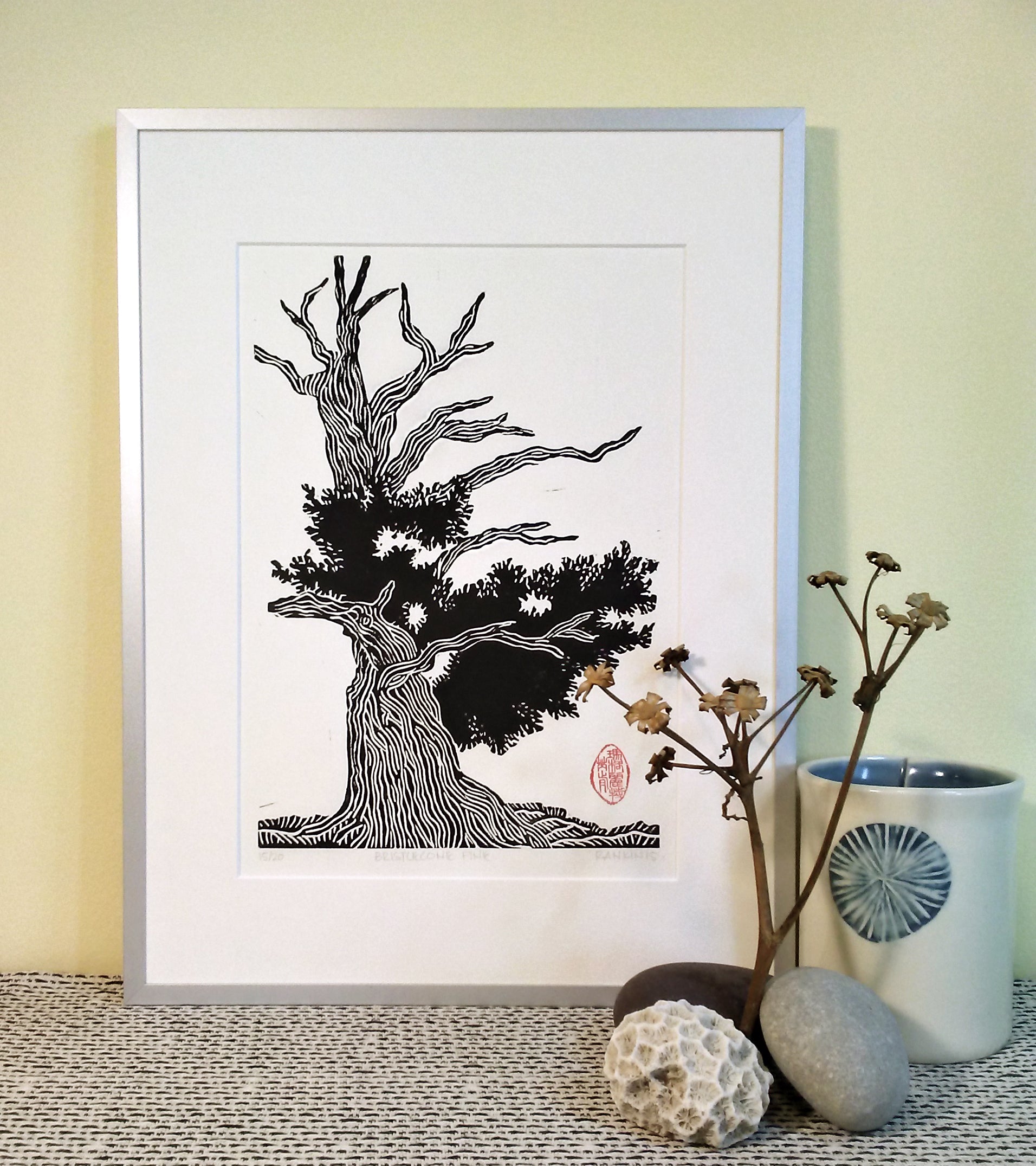 Bristlecone Pine Linocut Print 9"x13"