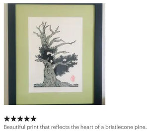 Bristlecone Pine Linoprint - Western Pine Tree Print - BRISTLECONE PINE by Margaret Rankin