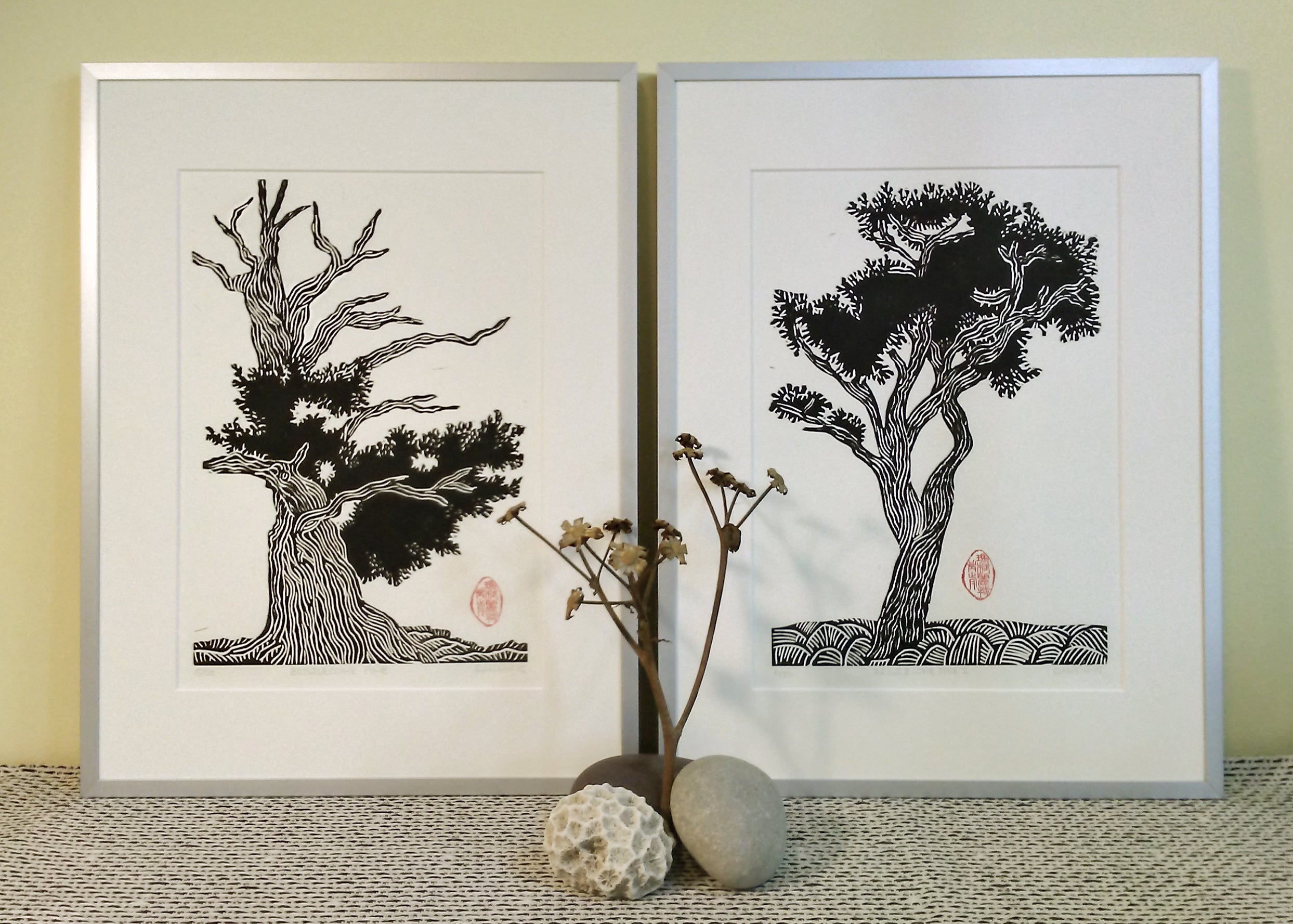 Bristlecone Pine Prints Framed