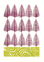 CONIFER FOREST