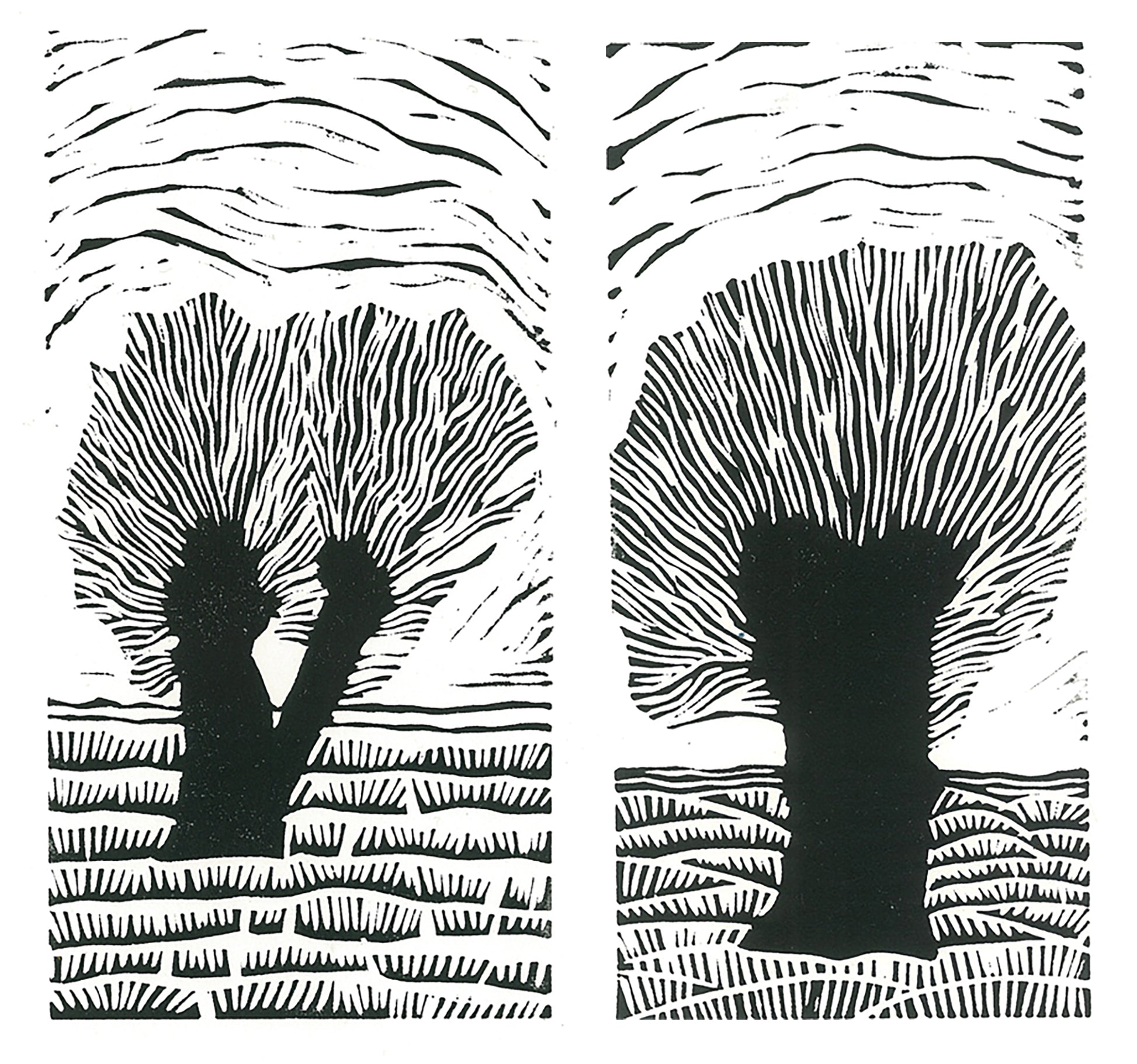 Holland Willow print Collection