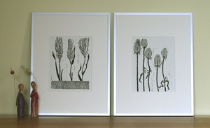 Wheat Grass Framed