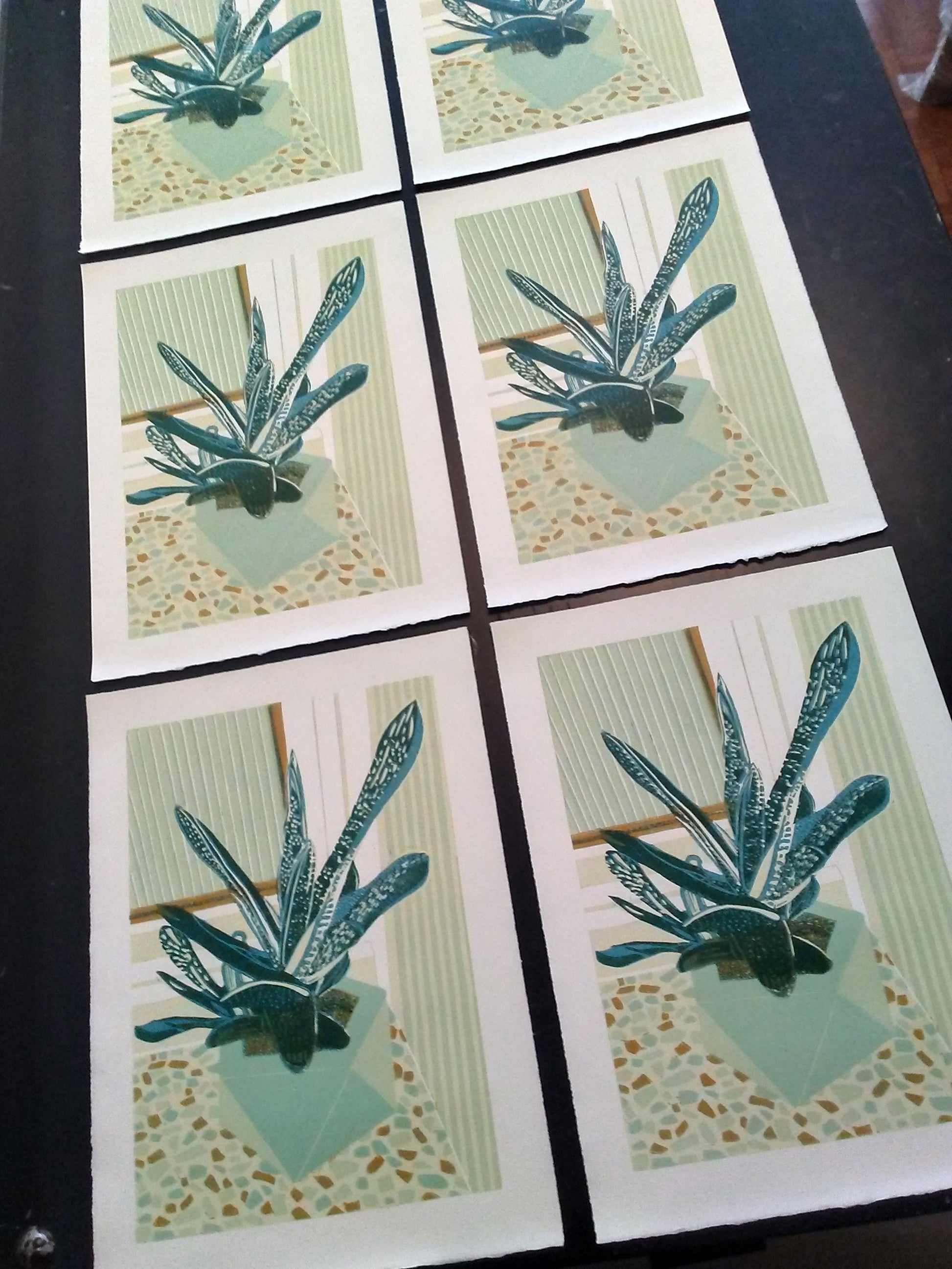 Windowsill Succulent Drying